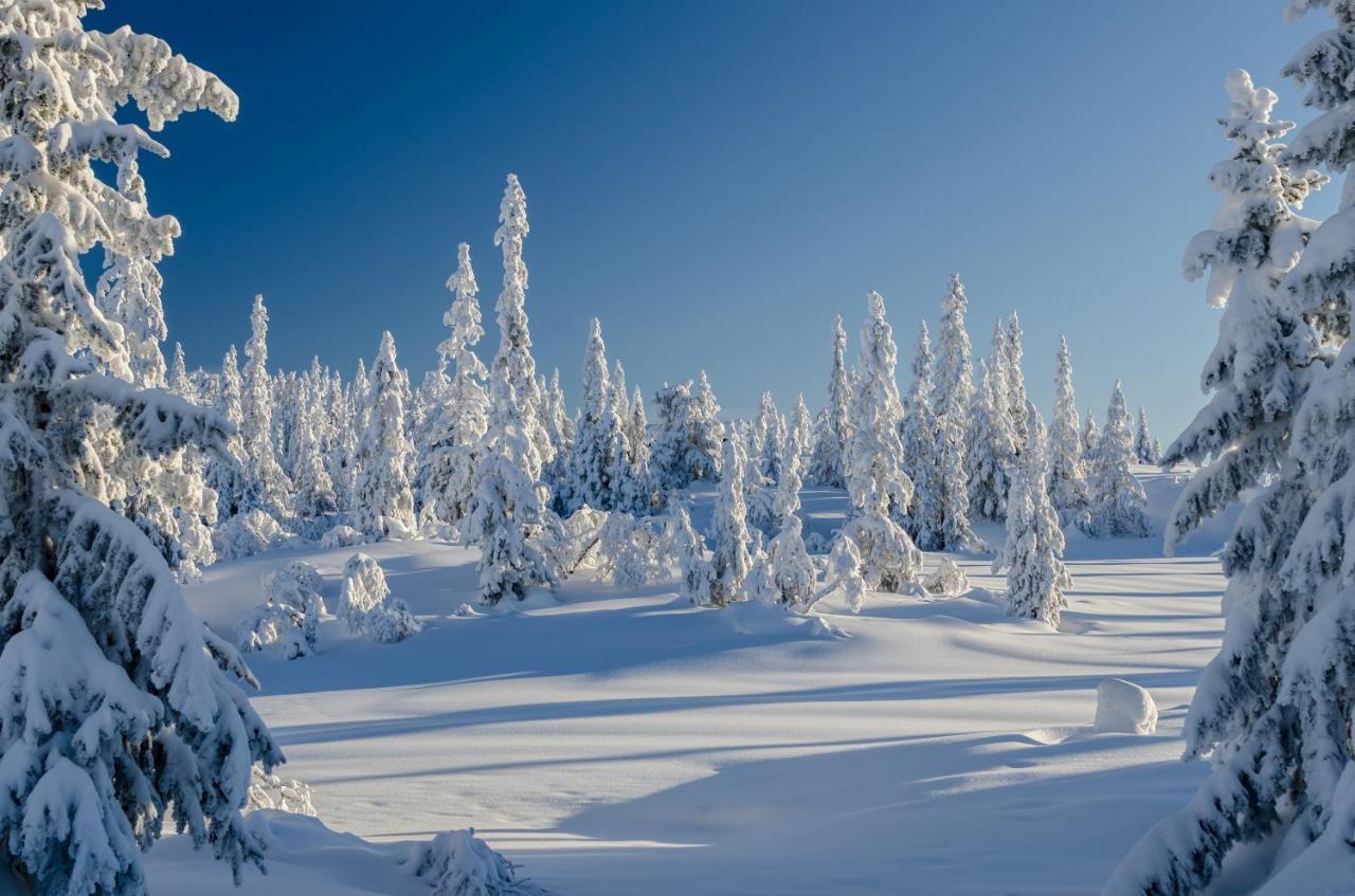 Lampeland Blefjell Lodge المظهر الخارجي الصورة