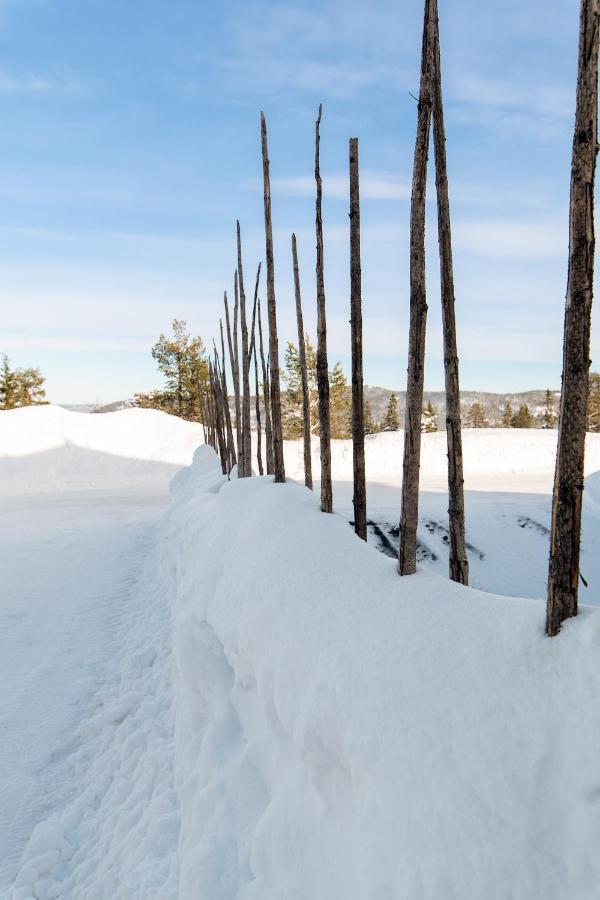 Lampeland Blefjell Lodge المظهر الخارجي الصورة