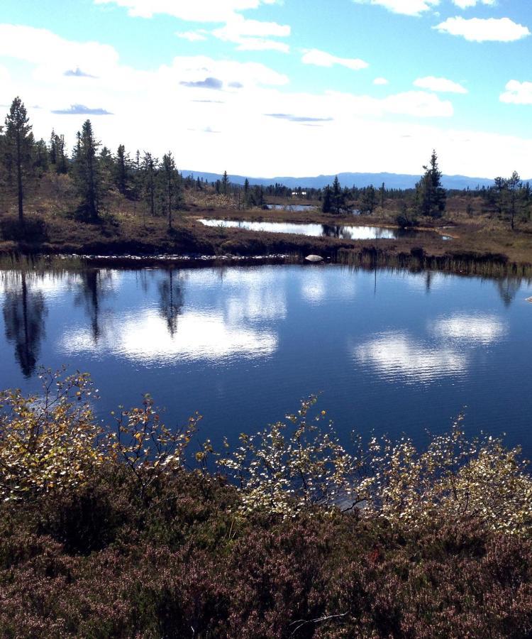 Lampeland Blefjell Lodge المظهر الخارجي الصورة